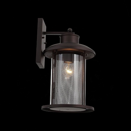 Светильник уличный настенный ST-Luce Темный кофе/Прозрачный, Темный кофе E27 1*60W SL080.401.01 - фото