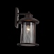 Светильник уличный настенный ST-Luce Темный кофе/Прозрачный, Темный кофе E27 1*60W SL080.401.01 - фото