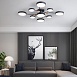 Потолочная Люстра Gamma D98 Black Imperiumloft 223769-23 - фото