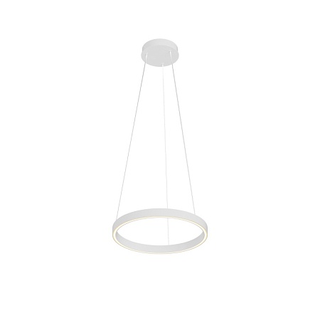 Подвесной светильник Maytoni Rim MOD058PL-L22WK - фото