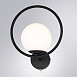  ARTE LAMP A7741AP-1BK - фото