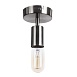 Потолочный светильник Arte Lamp FUORI A9184PL-1SS - фото