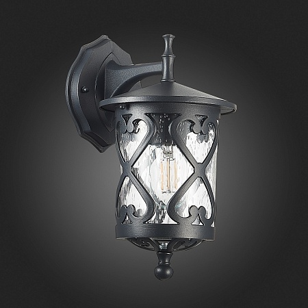 Светильник уличный настенный ST-Luce Черный/Черный, Прозрачный E27 1*60W SL085.411.01 - фото