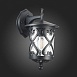 Светильник уличный настенный ST-Luce Черный/Черный, Прозрачный E27 1*60W SL085.411.01 - фото