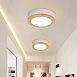 Потолочная Люстра Wudda D40 Серый Imperiumloft 179767-26 - фото