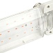 Лампа светодиодная 2-х лепестковая Feron LB-7000 E27 20W 175-265V красно-синий спектр - фото