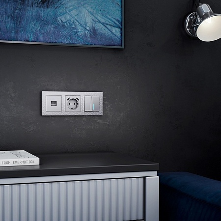 Розетка Ethernet RJ-45 серебряный WL06-RJ-45 - фото