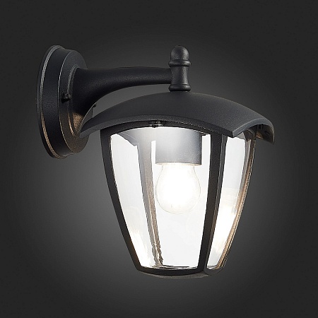 Светильник уличный настенный ST-Luce Черный/Черный, Прозрачный E27 1*40W SL081.411.01 - фото