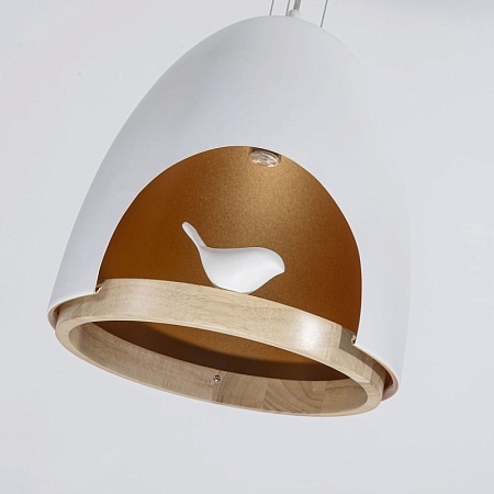 Подвесная люстра Favourite 1878-1P - фото