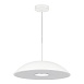 Светильник подвесной ST-Luce Белый/Белый LED 1*24W 3000K SL6128.503.01 - фото