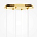 Подвесной светильник Maytoni Foresight MOD347PL-L48BS3K - фото
