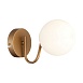 Светильник настенный Золотистый/Белый E14 1*40W SLE220601-01 - фото