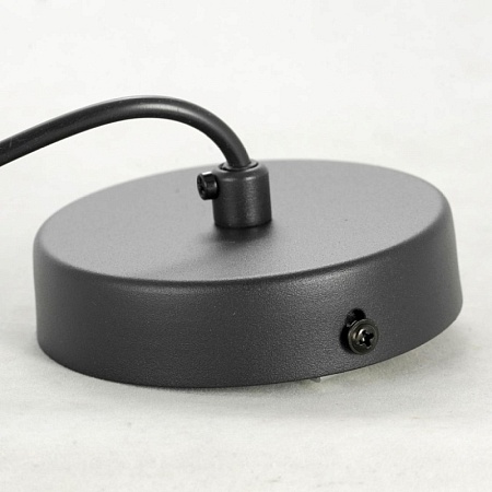 Подвесной светильник   подвесной светильник Lussole Monroe LSP-8525 - фото