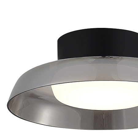 SL6019.412.01 Светильник потолочный ST-Luce Черный/Дымчатый, Белый LED 1*36W 3000K FORAY - фото