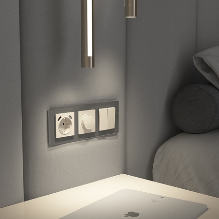 Диммер (айвори матовый) W1142062 - фото