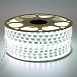 SST20 SAFFIT 60SMD(2835)/м 6Вт/м 220V 50м , 6500K, IP65 - фото