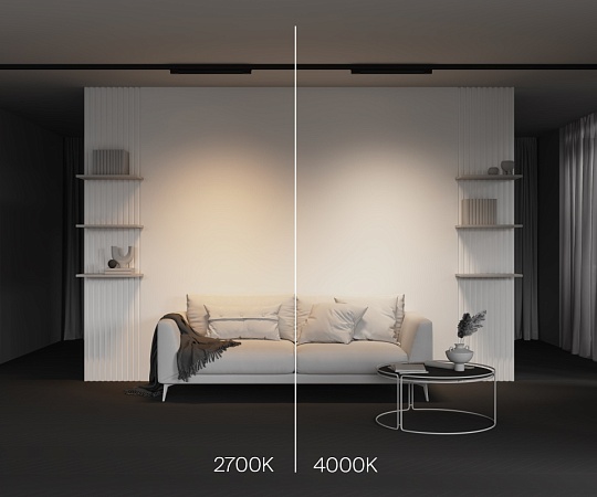 Трековый светильник Technical BASIS TR196-3-20W2.7K-B - фото
