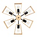 Потолочная люстра Arte Lamp BRUSSELS A8030PL-6BK - фото