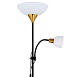  лампа длящая ARTE LAMP A9569PN-2BK - фото