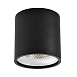 Светильник потолочный Черный LED 1*12W 3000K 840Lm Ra>90 36° IP44 D80xH85 85-265V ST165.432.12 - фото