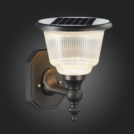 Светильник уличный настенный ST-Luce Черный/Черный, Прозрачный LED 1*2W 3000-6000K SL9502.401.01 - фото