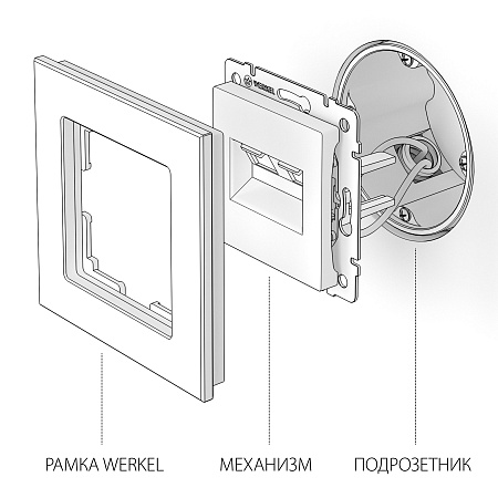 Розетка двойная Ethernet RJ-45 (слоновая кость) W1181103 - фото