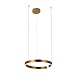 10013M Подвесной светильник LOFT IT Ring - фото