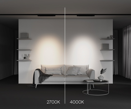 Трековый светильник Technical Points  TR195-3-20W2.7K-M-B - фото