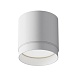 Потолочный светильник Technical Polar C088CL-GX53-W - фото