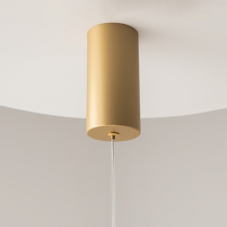 Подвесной светильник Maytoni Pro Base MOD159PL-L6GK - фото