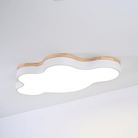 Потолочный Светильник Cloud Eco D83 White Imperiumloft 189502-26 - фото