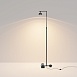 Напольный светильник (торшер) Maytoni Pikant MOD372FL-L10BS3K - фото