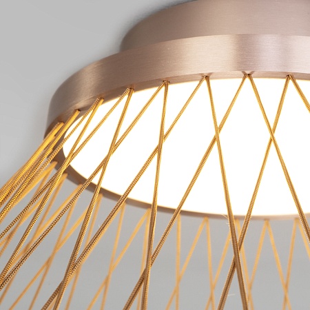 Потолочный светильник Eurosvet 40019/1 LED коричневый - фото