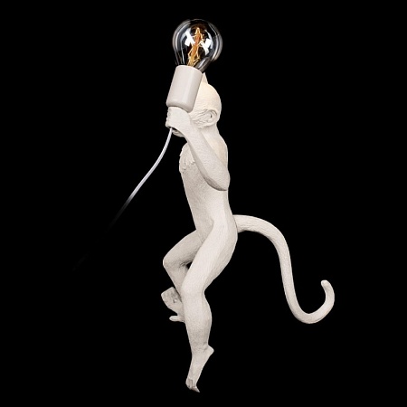 10314W/B Настенный светильник LOFT IT Monkey - фото