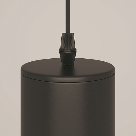 Подвесной светильник Technical Focus P075PL-01B - фото