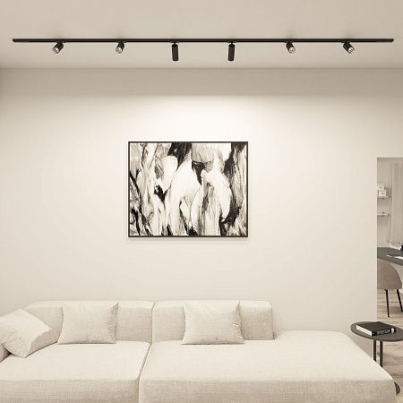 Светильник на шине Denkirs Scope DK6060-BK - фото