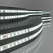 Светодиодная лента 24 В 8 Вт/м 120Led/м 2116 IP20, холодный белый 6500K, 5 м 2116 24V 120Led 8W IP20 Elektrostandard - фото