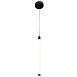 Подвесной светильник Technical Ray P021PL-L10B - фото