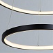 Подвесная люстра Arte Lamp FRODO A2197SP-2BK - фото