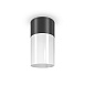 Потолочный светильник Outdoor Willis O418CL-01B - фото