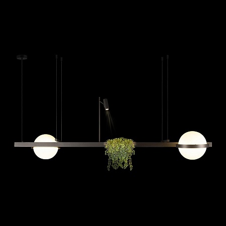 10121/D Dark grey Подвесной светильник LOFT IT Jardin - фото