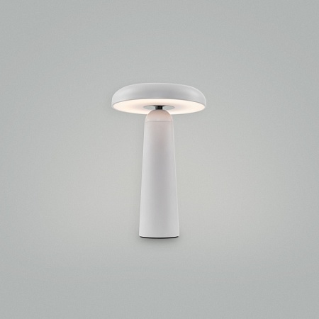 Аккумуляторный светильник Freya FR6109TL-L4W - фото