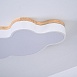 Потолочный Светильник Cloud Eco D63 White Imperiumloft 189501-26 - фото