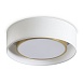 Потолочный светильник Freya COZY FR6170CL-L52BS - фото
