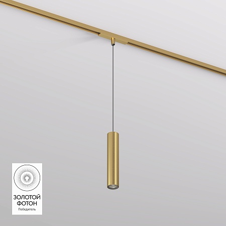 Светильник на шине Denkirs SHINE SPOT DK5744-SB - фото