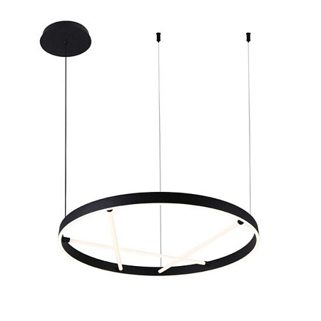 Подвесная люстра Arte lamp RICCO A1874SP-32BK - фото