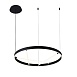 Подвесная люстра Arte lamp RICCO A1874SP-32BK - фото