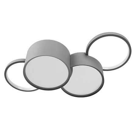 10317/4 Grey Потолочный светильник LOFT IT Pin - фото