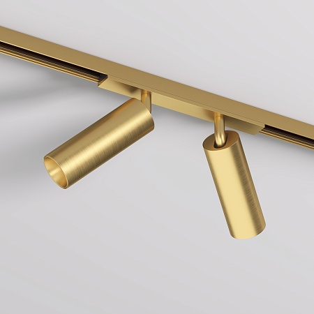 Светильник на шине Denkirs SHINE SPOT DK5742-SB - фото