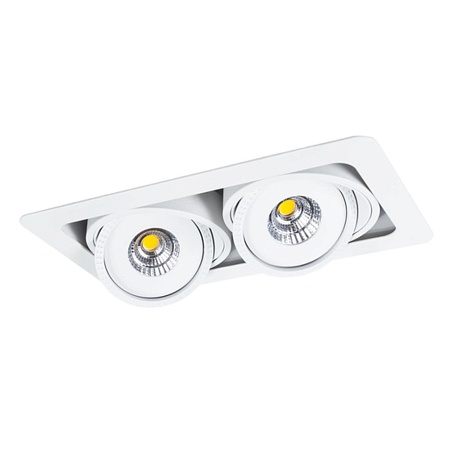 Карданный светильник Arte Lamp STUDIO A3007PL-2WH - фото